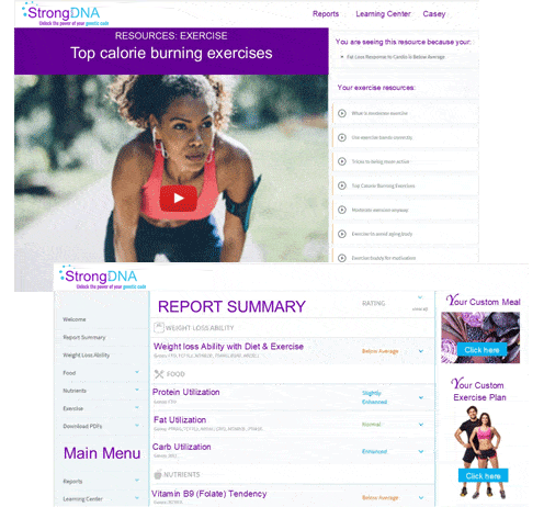 FITNESS-AND-NUTRITION-TESTING-PORTAL